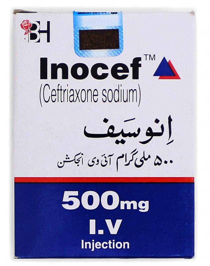 Inocef 500mg Im Inj